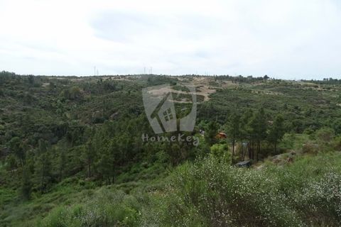 Helårsgrund i Castelo Branco, Castelo Branco, Castelo Branco - € 67.500 | Ref: H511 - foto 19