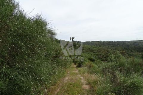 Helårsgrund i Castelo Branco, Castelo Branco, Castelo Branco - € 67.500 | Ref: H511 - foto 20