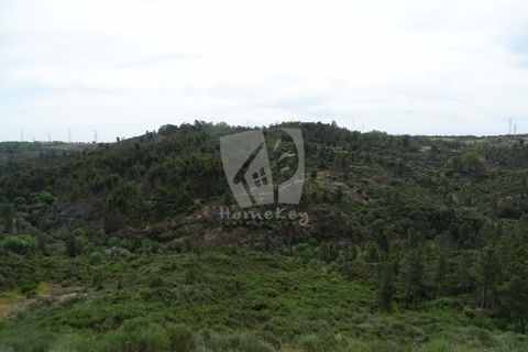 Helårsgrund i Castelo Branco, Castelo Branco, Castelo Branco - € 67.500 | Ref: H511 - foto 21
