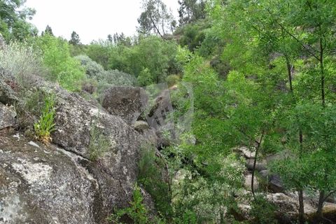Helårsgrund i Castelo Branco, Castelo Branco, Castelo Branco - € 67.500 | Ref: H511 - foto 22