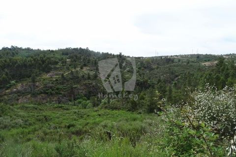 Helårsgrund i Castelo Branco, Castelo Branco, Castelo Branco - € 67.500 | Ref: H511 - foto 23
