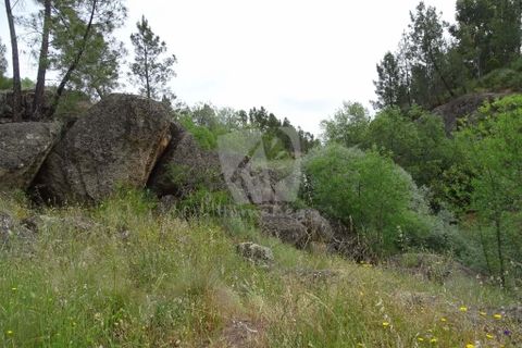 Helårsgrund i Castelo Branco, Castelo Branco, Castelo Branco - € 67.500 | Ref: H511 - foto 24