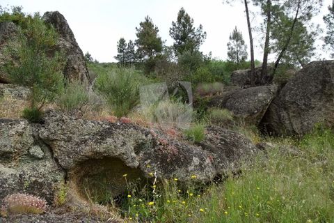 Helårsgrund i Castelo Branco, Castelo Branco, Castelo Branco - € 67.500 | Ref: H511 - foto 25
