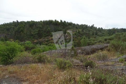 Helårsgrund i Castelo Branco, Castelo Branco, Castelo Branco - € 67.500 | Ref: H511 - foto 26