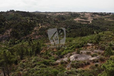 Helårsgrund i Castelo Branco, Castelo Branco, Castelo Branco - € 67.500 | Ref: H511 - foto 27