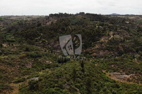 Helårsgrund i Castelo Branco, Castelo Branco, Castelo Branco - € 67.500 | Ref: H511 - foto 28