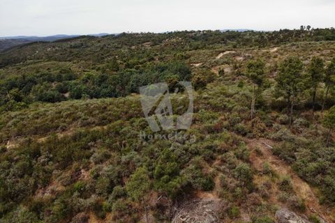 Helårsgrund i Castelo Branco, Castelo Branco, Castelo Branco - € 67.500 | Ref: H511 - foto 29