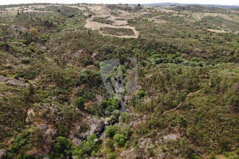 Helårsgrund i Castelo Branco, Castelo Branco, Castelo Branco - € 67.500 | Ref: H511 - foto 31