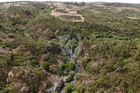 Helårsgrund i Castelo Branco, Castelo Branco, Castelo Branco - € 67.500 | Ref: H511 - foto 32