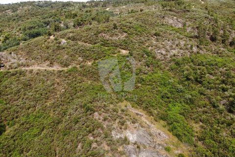 Helårsgrund i Castelo Branco, Castelo Branco, Castelo Branco - € 67.500 | Ref: H511 - foto 33