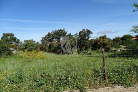 Helårsgrund i Castelo Branco, Castelo Branco, Castelo Branco - € 54.000 | Ref: H606 - foto 2