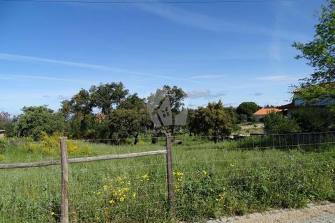 Helårsgrund i Castelo Branco, Castelo Branco, Castelo Branco - € 54.000 | Ref: H606 - foto 3