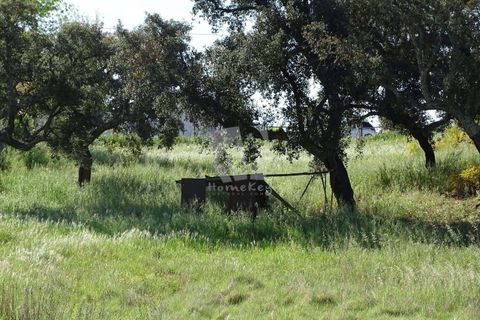 Helårsgrund i Castelo Branco, Castelo Branco, Castelo Branco - € 54.000 | Ref: H606 - foto 5