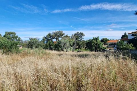 Helårsgrund i Castelo Branco, Castelo Branco, Castelo Branco - € 54.000 | Ref: H606 - foto 8