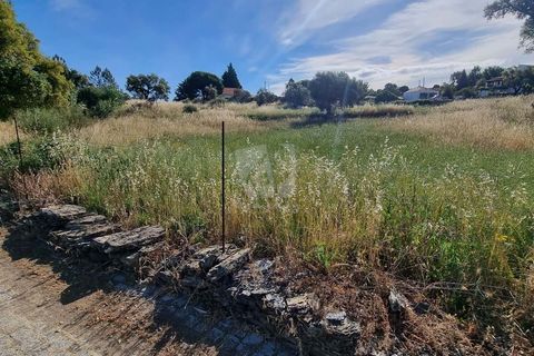Helårsgrund i Castelo Branco, Castelo Branco, Castelo Branco - € 54.000 | Ref: H606 - foto 9