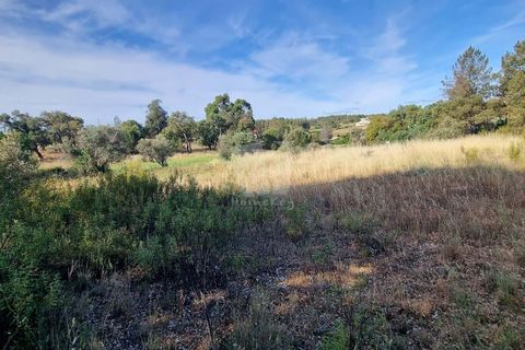 Helårsgrund i Castelo Branco, Castelo Branco, Castelo Branco - € 54.000 | Ref: H606 - foto 12