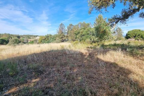 Helårsgrund i Castelo Branco, Castelo Branco, Castelo Branco - € 54.000 | Ref: H606 - foto 13
