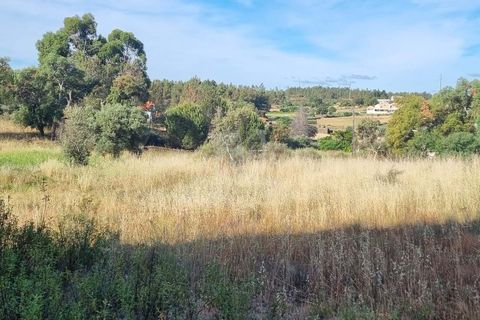 Helårsgrund i Castelo Branco, Castelo Branco, Castelo Branco - € 54.000 | Ref: H606 - foto 16
