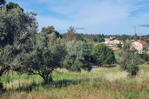 Helårsgrund i Castelo Branco, Castelo Branco, Castelo Branco - € 54.000 | Ref: H606 - foto 17
