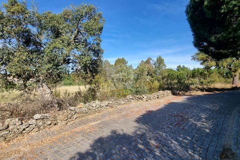 Helårsgrund i Castelo Branco, Castelo Branco, Castelo Branco - € 54.000 | Ref: H606 - foto 18