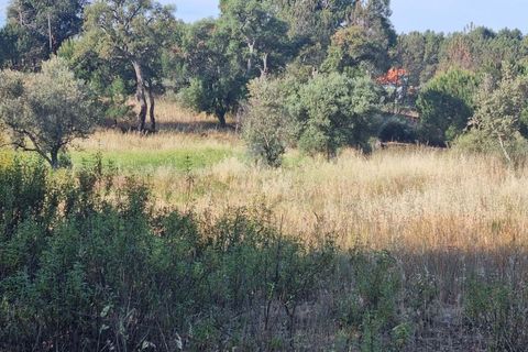 Helårsgrund i Castelo Branco, Castelo Branco, Castelo Branco - € 54.000 | Ref: H606 - foto 19