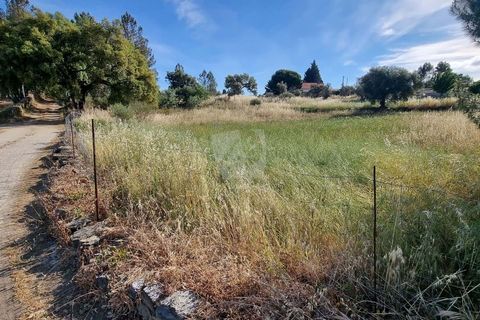 Helårsgrund i Castelo Branco, Castelo Branco, Castelo Branco - € 54.000 | Ref: H606 - foto 20
