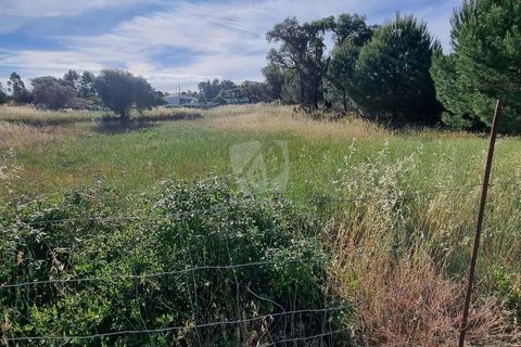 Helårsgrund i Castelo Branco, Castelo Branco, Castelo Branco - € 54.000 | Ref: H606 - foto 22