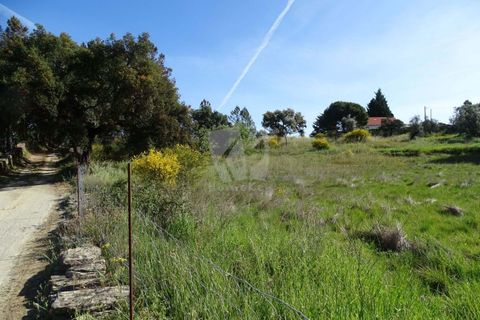 Helårsgrund i Castelo Branco, Castelo Branco, Castelo Branco - € 54.000 | Ref: H606 - foto 23