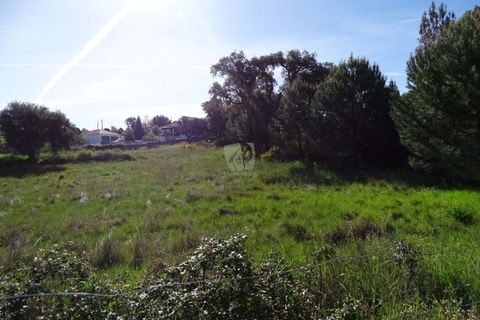 Helårsgrund i Castelo Branco, Castelo Branco, Castelo Branco - € 54.000 | Ref: H606 - foto 24