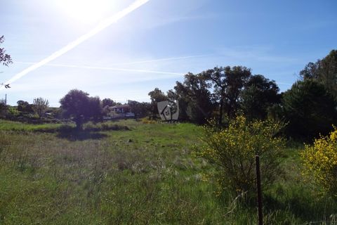 Helårsgrund i Castelo Branco, Castelo Branco, Castelo Branco - € 54.000 | Ref: H606 - foto 25