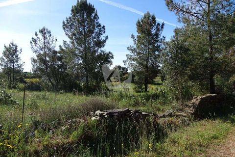 Helårsgrund i Castelo Branco, Castelo Branco, Castelo Branco - € 54.000 | Ref: H606 - foto 26