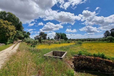 Helårsgrund i Castelo Branco, Castelo Branco, Castelo Branco - € 35.000 | Ref: H581 - foto 1