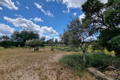 Helårsgrund i Castelo Branco, Castelo Branco, Castelo Branco - € 35.000 | Ref: H581 - foto 3