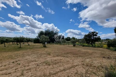 Helårsgrund i Castelo Branco, Castelo Branco, Castelo Branco - € 35.000 | Ref: H581 - foto 5