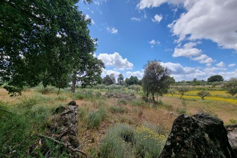 Helårsgrund i Castelo Branco, Castelo Branco, Castelo Branco - € 35.000 | Ref: H581 - foto 6