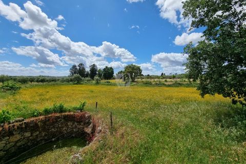 Helårsgrund i Castelo Branco, Castelo Branco, Castelo Branco - € 35.000 | Ref: H581 - foto 9