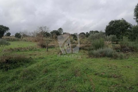 Helårsgrund i Castelo Branco, Castelo Branco, Castelo Branco - € 35.000 | Ref: H581 - foto 12