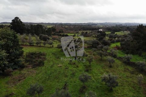 Helårsgrund i Castelo Branco, Castelo Branco, Castelo Branco - € 35.000 | Ref: H581 - foto 13