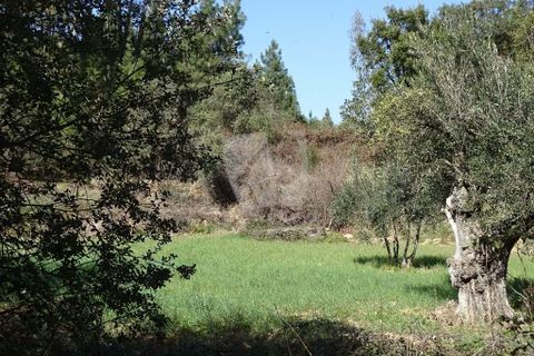 Helårsgrund i Castelo Branco, Castelo Branco, Castelo Branco - € 13.000 | Ref: H489 - foto 2
