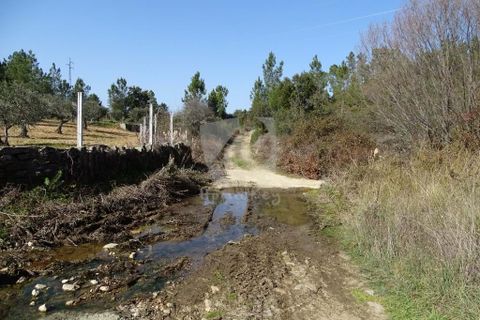 Helårsgrund i Castelo Branco, Castelo Branco, Castelo Branco - € 13.000 | Ref: H489 - foto 3