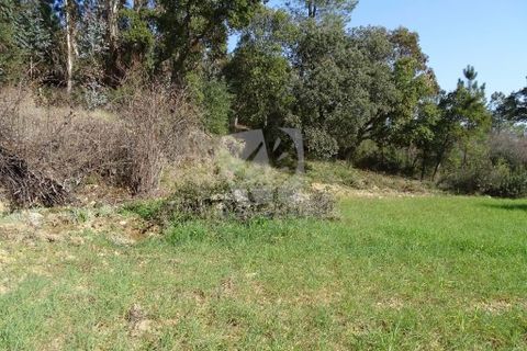 Helårsgrund i Castelo Branco, Castelo Branco, Castelo Branco - € 13.000 | Ref: H489 - foto 5