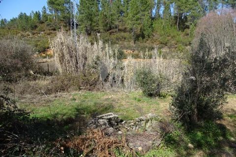 Helårsgrund i Castelo Branco, Castelo Branco, Castelo Branco - € 13.000 | Ref: H489 - foto 8