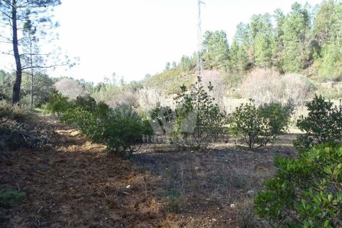Helårsgrund i Castelo Branco, Castelo Branco, Castelo Branco - € 13.000 | Ref: H489 - foto 10