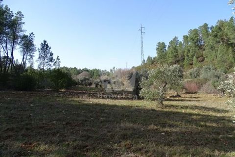 Helårsgrund i Castelo Branco, Castelo Branco, Castelo Branco - € 13.000 | Ref: H489 - foto 11