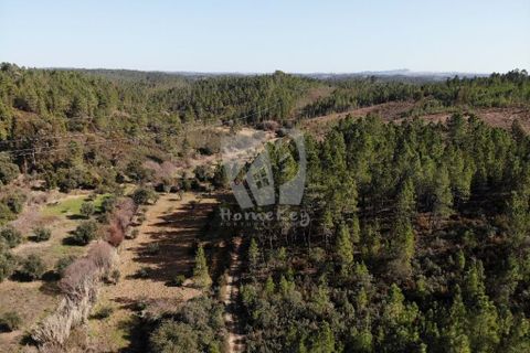Helårsgrund i Castelo Branco, Castelo Branco, Castelo Branco - € 13.000 | Ref: H489 - foto 12
