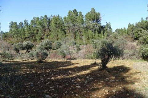 Helårsgrund i Castelo Branco, Castelo Branco, Castelo Branco - € 13.000 | Ref: H489 - foto 14