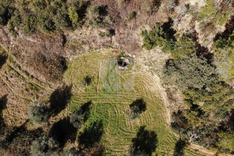 Helårsgrund i Castelo Branco, Castelo Branco, Castelo Branco - € 13.000 | Ref: H489 - foto 16