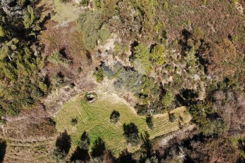 Helårsgrund i Castelo Branco, Castelo Branco, Castelo Branco - € 13.000 | Ref: H489 - foto 17