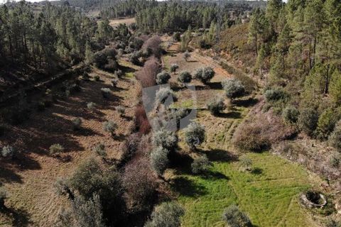 Helårsgrund i Castelo Branco, Castelo Branco, Castelo Branco - € 13.000 | Ref: H489 - foto 20