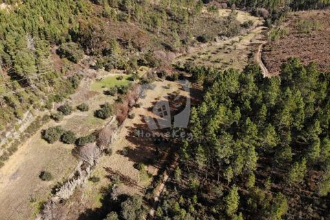 Helårsgrund i Castelo Branco, Castelo Branco, Castelo Branco - € 13.000 | Ref: H489 - foto 21